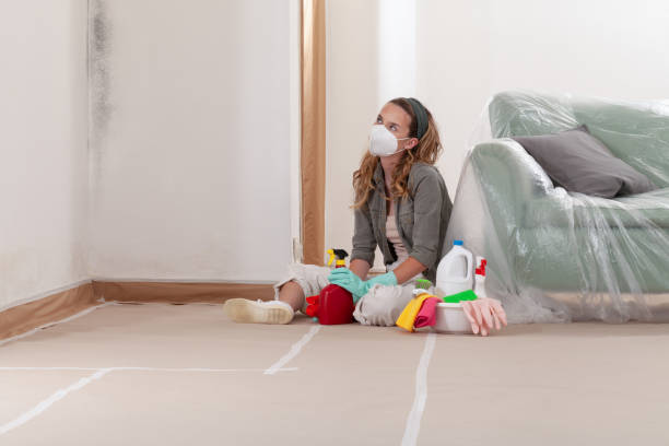 Reliable Crawl Space Mold Remediation contractor in Chalfont, PA by Mold Remediation HQ