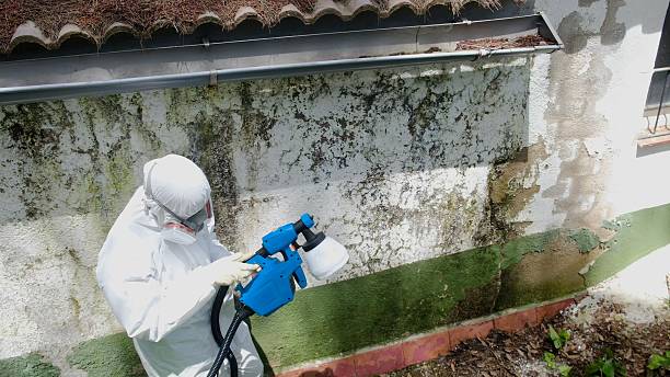 Top rated local Crawl Space Mold Remediation specialists in Chalfont, PA